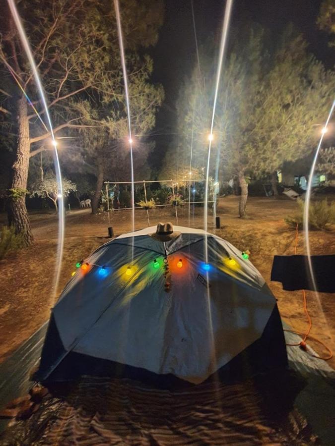 Agricamping Poggio Ai Pini Wine Camping Certaldo Zewnętrze zdjęcie